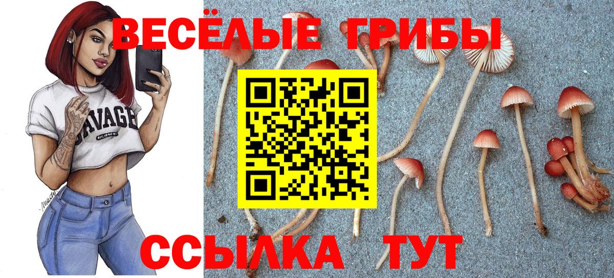 Светлоград  Псилоцибиновые грибы Psilocybe  Вход с VPN  Псилоцибиновые грибы Psilocybine cubensis 